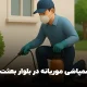 سمپاشی موریانه در بلوار بعثت