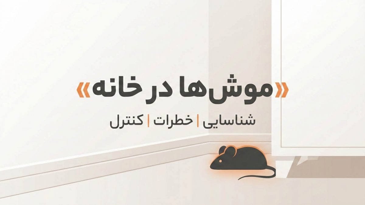 موش‌ها در خانه: شناسایی، تهدیدها و استراتژی‌های کنترل