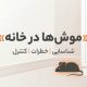 موشها در خانه: شناسایی، تهدیدها و استراتژیهای کنترل