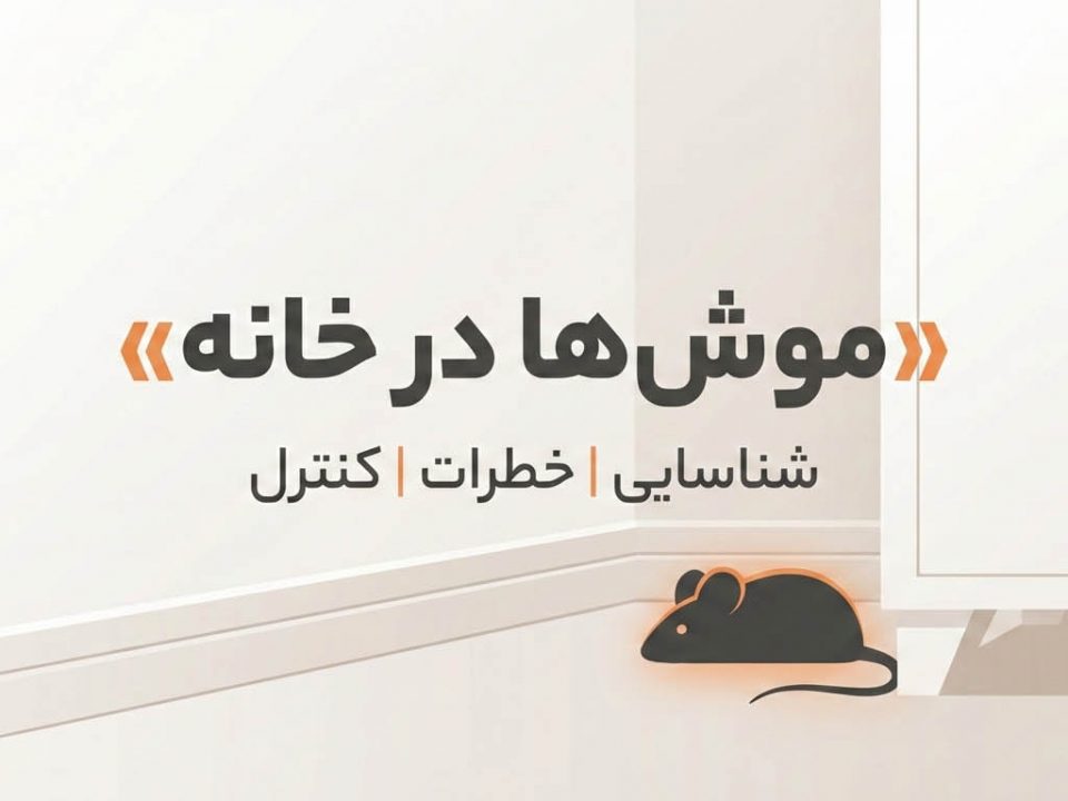 موش‌ها در خانه: شناسایی، تهدیدها و استراتژی‌های کنترل