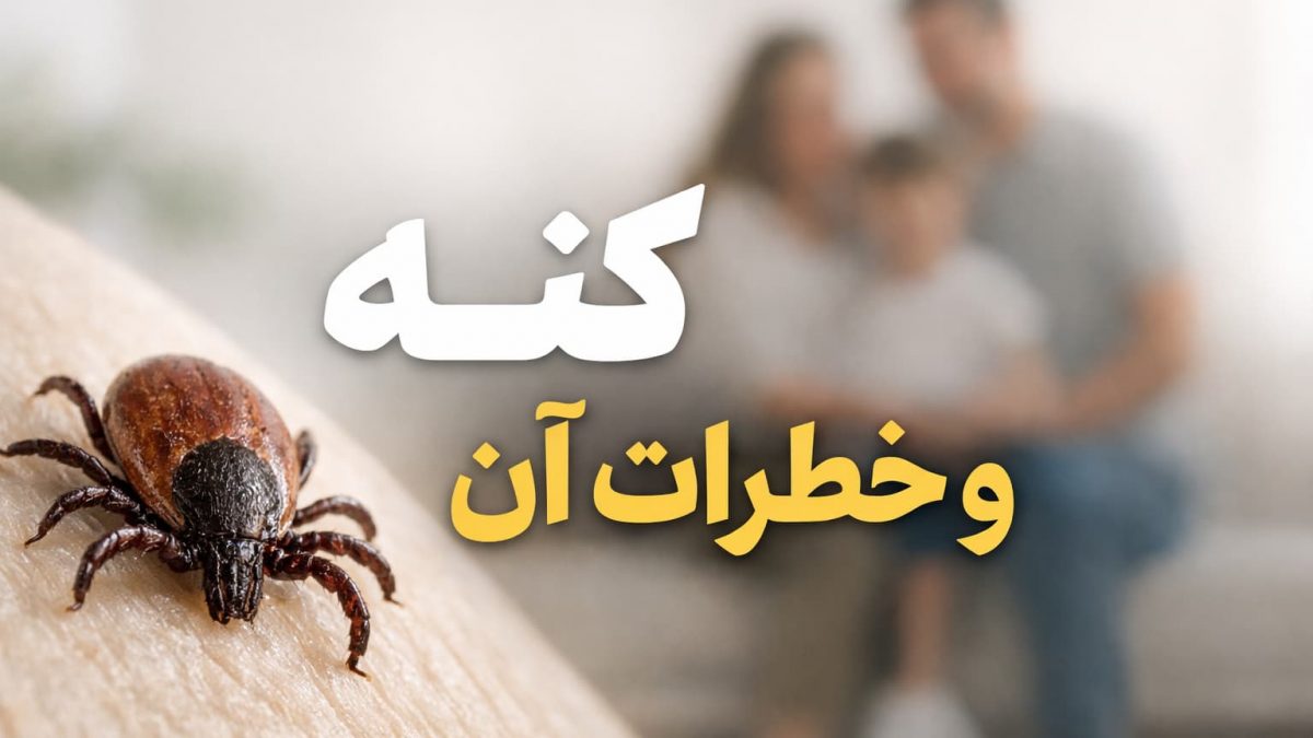 کنه‌ها و خطرات آن‌ها برای سلامتی خانواده‌ها