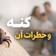 کنهها و خطرات آنها برای سلامتی خانوادهها