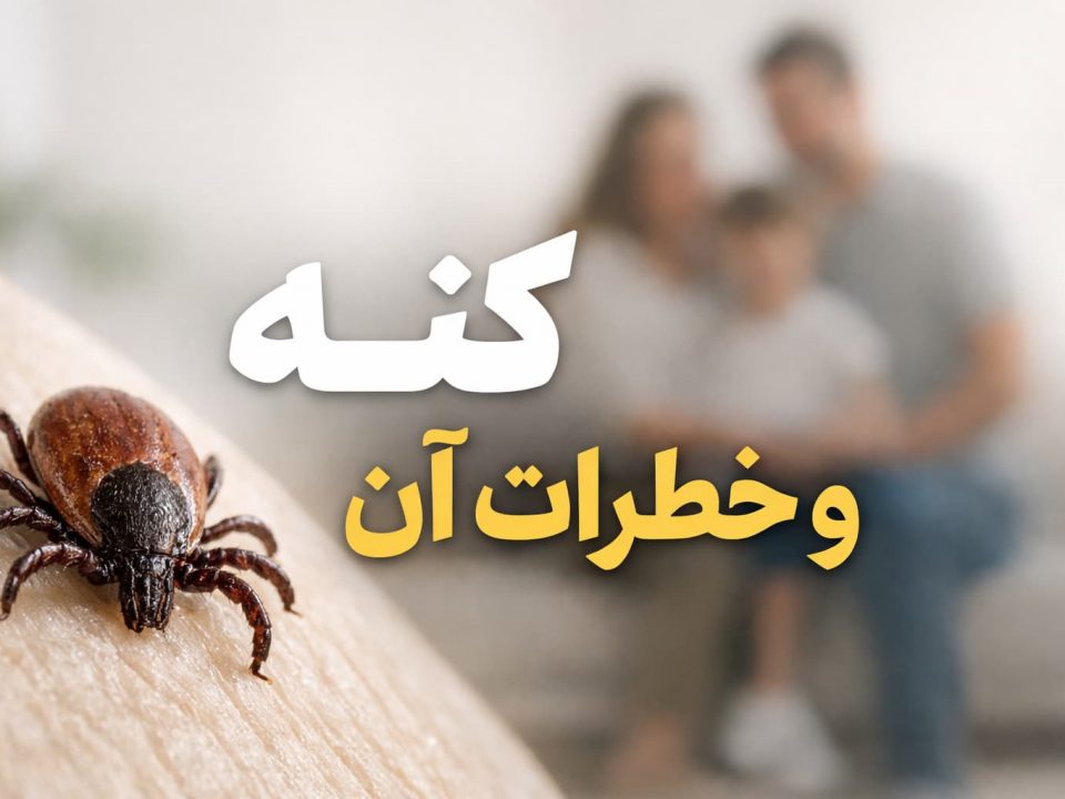 کنه‌ها و خطرات آن‌ها برای سلامتی خانواده‌ها