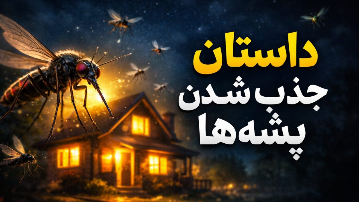 چرا پشه‌ها جذب خانه‌ها می‌شوند و چگونه از شرشان خلاص شویم؟