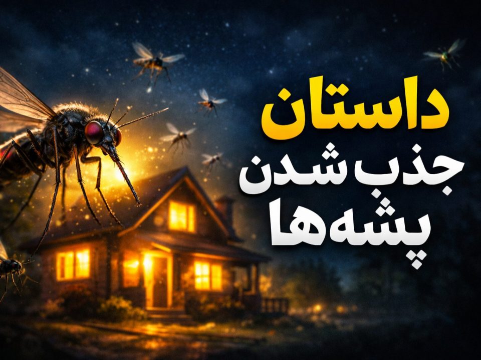 چرا پشه‌ها جذب خانه‌ها می‌شوند و چگونه از شرشان خلاص شویم؟