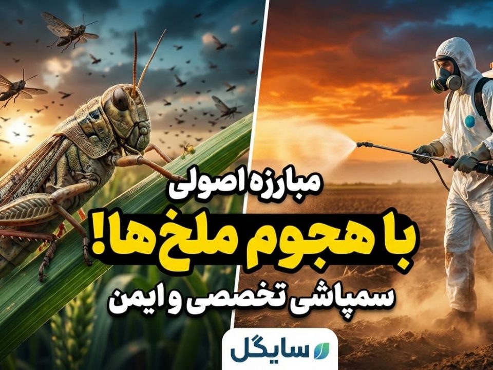 ملخ‌ها و روش‌های اصولی سمپاشی