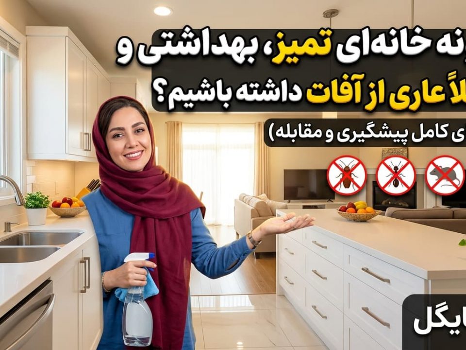 چگونه خانه‌ای تمیز، بهداشتی و کاملاً عاری از آفات داشته باشیم؟