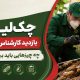 چک‌لیست بازدید کارشناس موریانه: چه چیزهایی باید بررسی شود؟ 