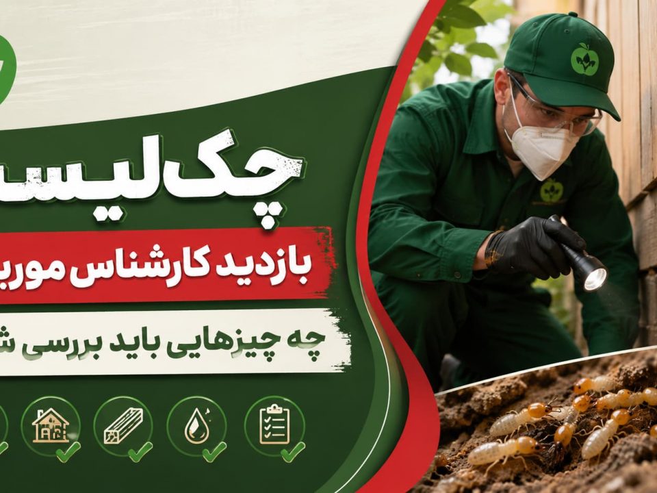 چک‌لیست بازدید کارشناس موریانه: چه چیزهایی باید بررسی شود؟ 