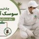 چکلیست کنترل سوسک آلمانی برای مستأجرها و موجرها